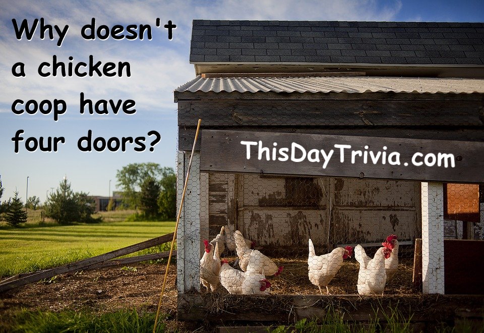 Why doesn't a chicken coop have four doors?