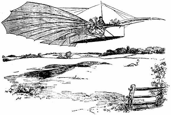 Whitehead's craft in flight
