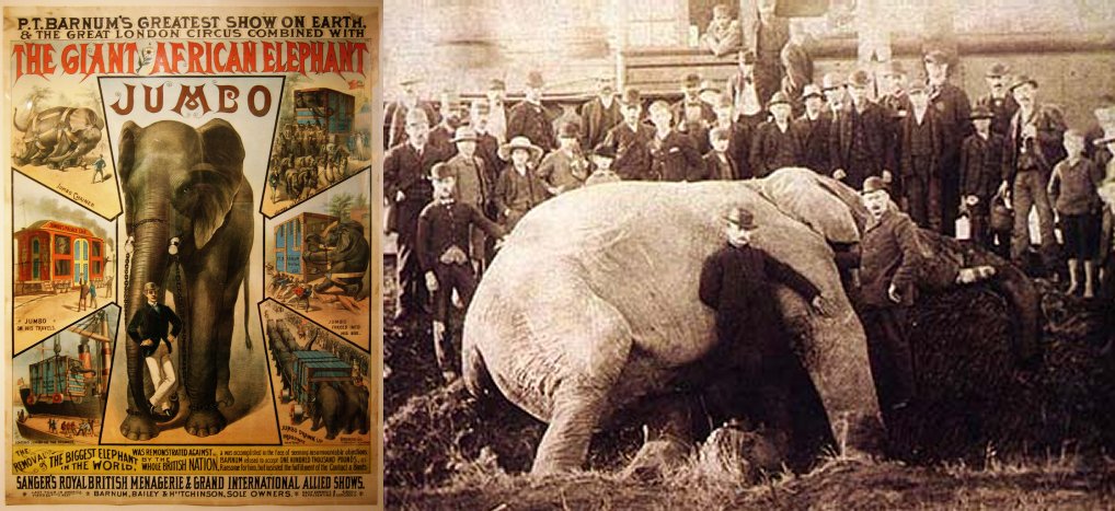 Jumbo's circus poster and Jumbo after being hit by the train