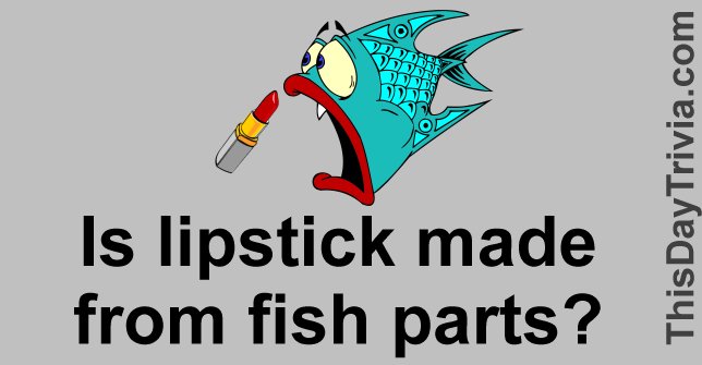 Is lipstick made from fish parts?