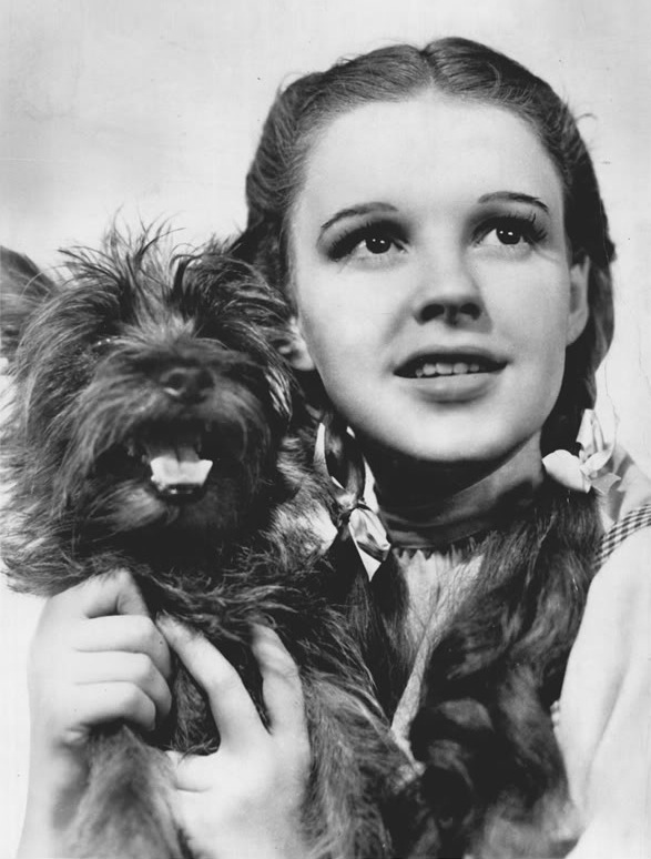Toto with Judy Garland