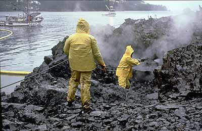 Workers cleaning up oil from shoreline