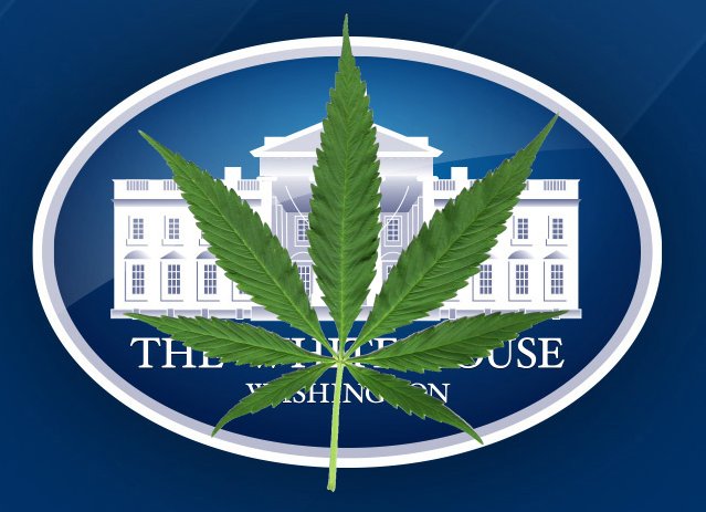Willie Nelson Smokes Pot at the White House