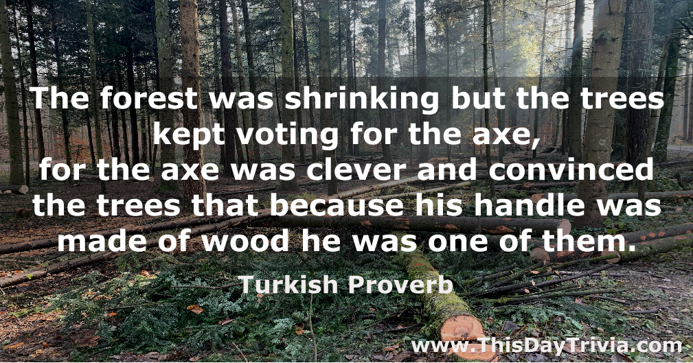 Quote: The forest was shrinking but the trees kept voting for the axe, for the axe was clever and convinced the trees that because his handle was made of wood he was one of them. - Turkish Proverb