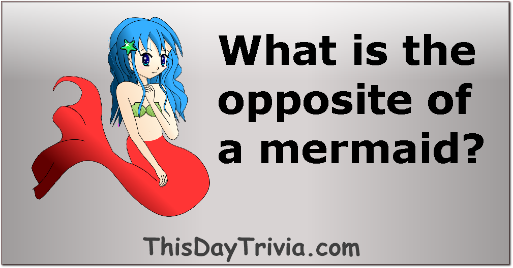 What is the opposite of a mermaid?