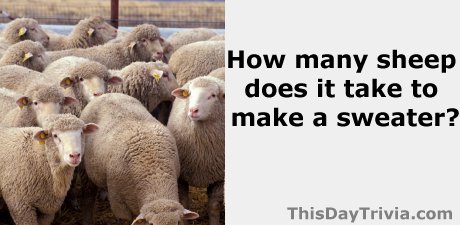 How many sheep does it take to make a sweater?