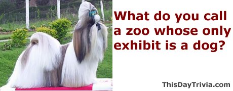 What do you call a zoo whose only exhibit is a dog?