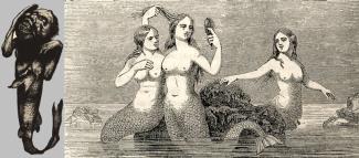 Actual Fiji Mermaid (left) as opposed to the images that appeared in the newspapers