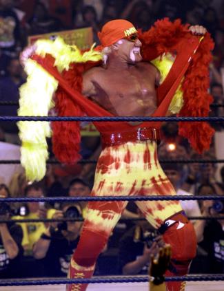 Hulk Hogan in 2005