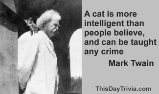 Quote: A cat is more intelligent than people believe, and can be taught any crime. - Mark Twain