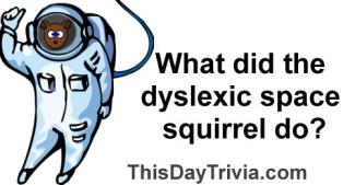 What did the dyslexic space squirrel do?