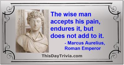 Quote: The wise man accepts his pain, endures it, but does not add to it. - Marcus Aurelius, Roman Emperor