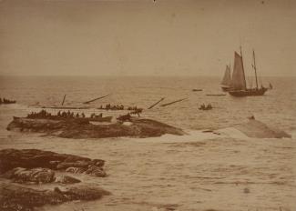 Bodies and cargo being recovered from the wreckage of the RMS Atlantic