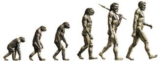 Darwin's Theory of Evolution