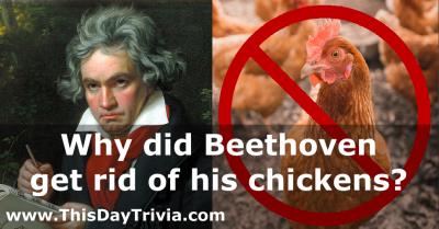 Why did Beethoven get rid of his chickens?