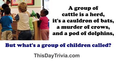 A group of cattle is a herd, likewise it's a cauldron of bats, a murder of crows, and a pod of dolphins. But what's a group of children called?