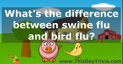 What's the difference between swine flu and bird flu?