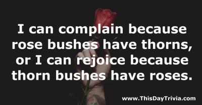 Quote: I can complain because rose bushes have thorns, or I can rejoice because thorn bushes have roses. - Anonymous