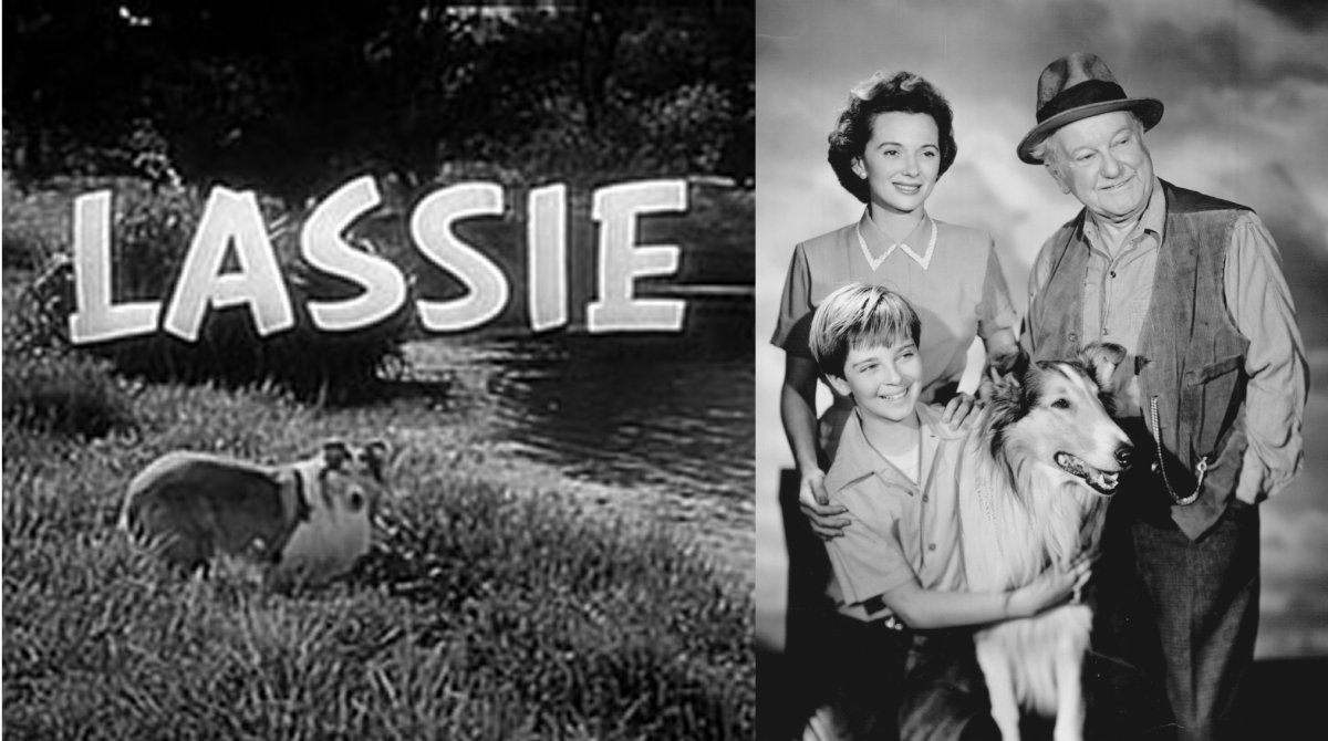 Lassie