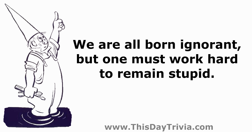Quote: We are all born ignorant, but one must work hard to remain stupid. - Anonymous